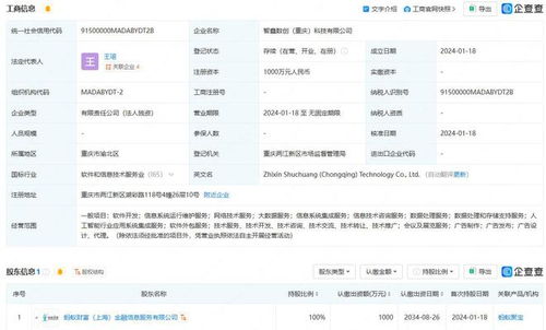 螞蟻集團(tuán)重慶布局科技新公司，深化人工智能與軟件開發(fā)業(yè)務(wù)